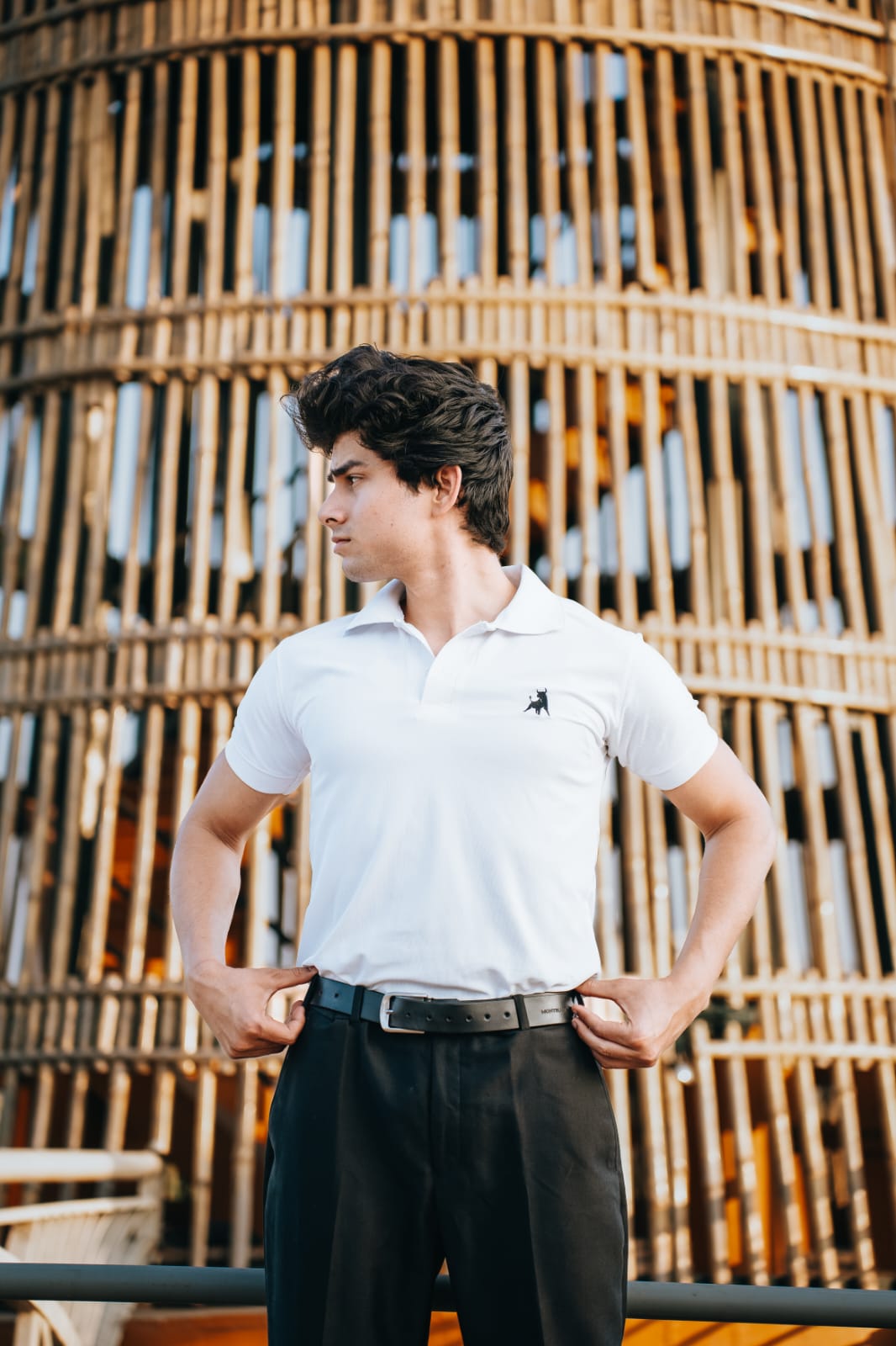 Premium Polo - Albin Fashion