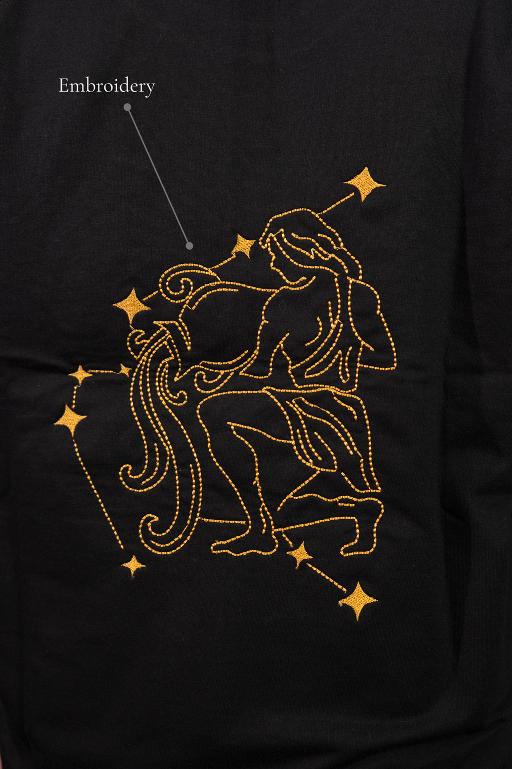 Aquarius (Aquarius themed Embroidered oversize t-shirt, unisex)