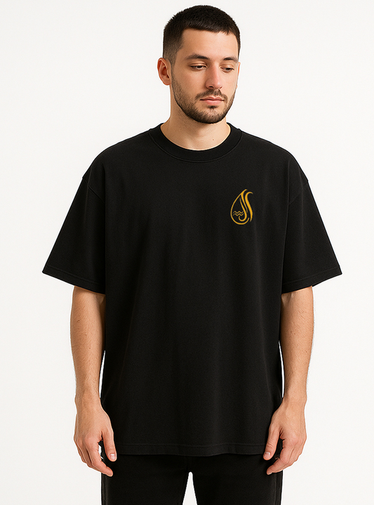 Aquarius (Aquarius themed Embroidered oversize t-shirt, unisex)
