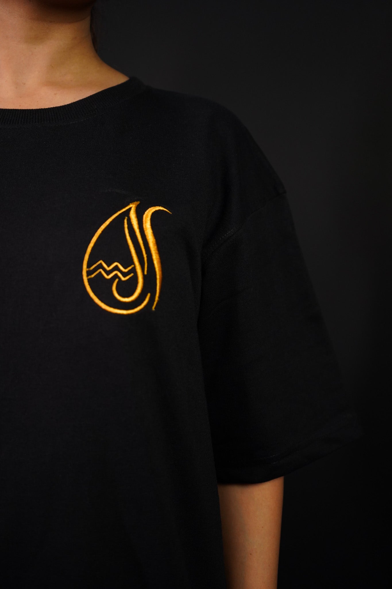 Aquarius (Aquarius themed Embroidered oversize t-shirt, unisex) - Albin FashionT-shirtAlbin Fashion